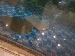 -金龙渔港(双楠店)
