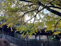 -惠山古镇·寄畅园