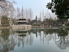 -习家池