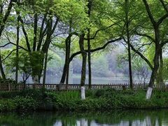 -茅家埠