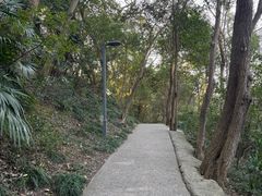 -赭山公园