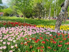 -北京植物园南门售票处