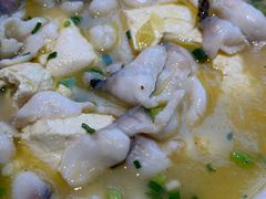 藤椒豆花黑鱼-茅庐川菜(青岛凯德店)