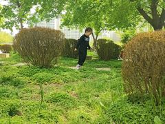 -西安汉城湖景区