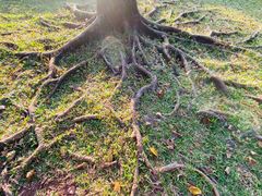 -荔香公园