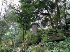 -青城山