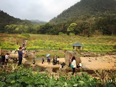 -广州市石门国家森林公园