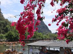 -靖西鹅泉风景区
