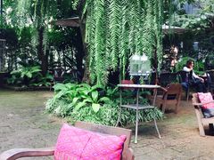 -Fern Forest Cafe