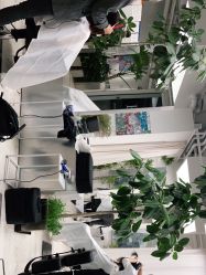 -Hair  Gallery