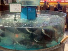 -魏铭鱼头捞饭(晋阳路店)