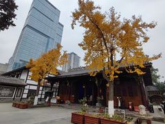 -古大圣慈寺
