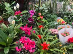 -秦美花卉(天朗·莱茵小城2期店)