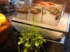 -富力丽思卡尔顿酒店·香荟全日制餐厅