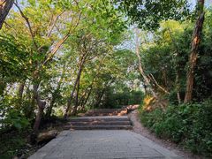 -紫金山山顶公园
