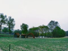 -长白岛森林公园