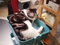 -小时光咖啡馆(开森度假森林店)