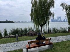-金鸡湖景区
