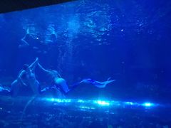 -华夏文旅海洋公园