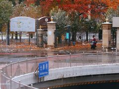 -麦当劳(展览路店)