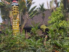 -西双版纳基诺山寨