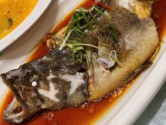 -高老庄新家宴(北斗星广场店)