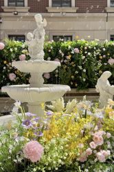 -米莱摄影写真(五大道别墅店)