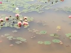 -九龙湖公园