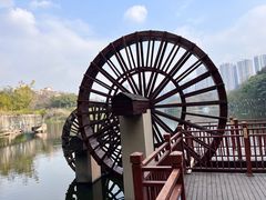 -重庆彩云湖湿地公园