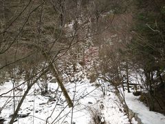 翠竹沟-叠溪松坪沟景区