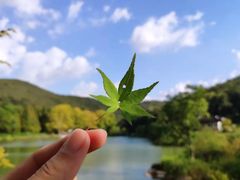 -南山风景名胜区