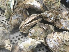 -蚝专家(北滘店)