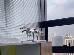 -脊地脊柱·运动康复·体态(汇海店)