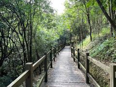 -广州白江湖森林公园