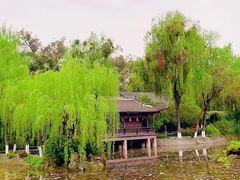 -桂湖森林公园