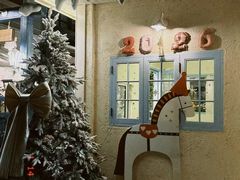 -溪岸路花鸟市场