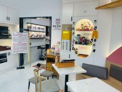 -喵园·猫主题咖啡厅·撸猫·猫咖(国贸店)