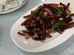 -张鸟园农家乐(张鸟园店)