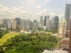 -新加坡乌节希尔顿酒店 (SG Clean)