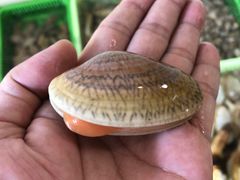-凯华海鲜火锅·传承三十六年
