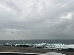 -涉地可支