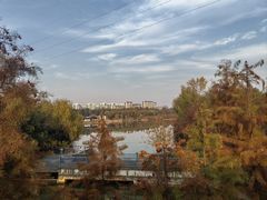 -昆山城市生态森林公园