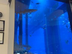 -迪拜水族馆及水下动物园