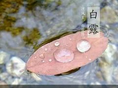 -松岛渔村(迎客路店)