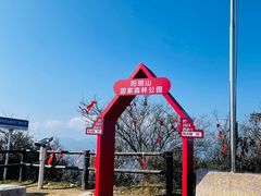-江西阳明山国家森林公园