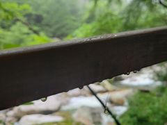 -青峰峡国家森林公园