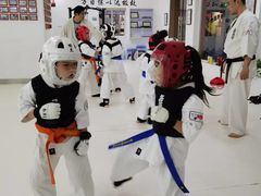 -极真空手道修远道场