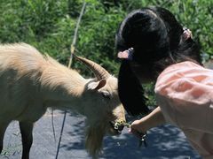 -栖露营camping·天幕烧烤·团建拓展·采摘营地