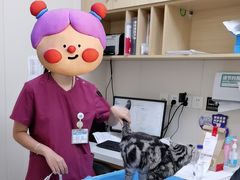 -美联众合爱康动物医院•复杂内科•肿瘤科•牙科•腔镜诊疗中心