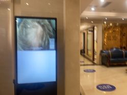 -碧莲盛·不剃发植发